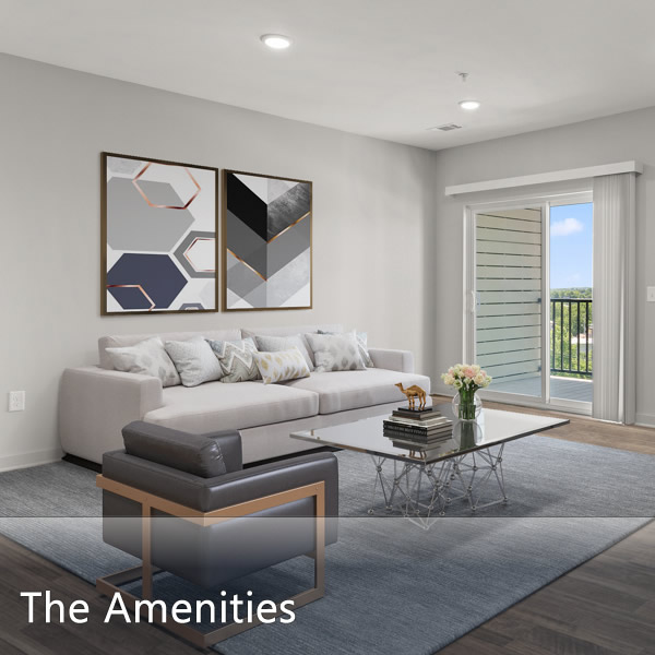 Features & Amenities